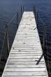 long dock droppings