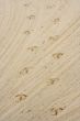 footsteps