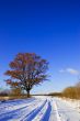 Winter country road