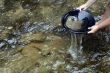 goldpanning