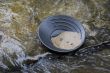 gold panning for gold