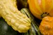 Gourd time