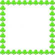 shamrock