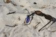 sunglasses on the beach
