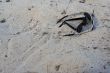 sunglasses on the beach