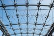 glass roof