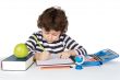 adorable child studying