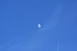 Daytime Moon