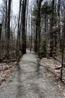 walkway