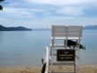 lifeguard
