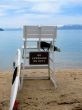 lifeguard