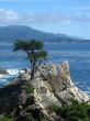 Marine landscapes