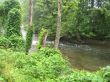 Peaceful haven