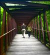 Wooden bridge