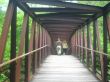 Wooden bridge