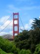 Bridges over bay
