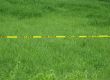 Yellow tape