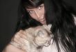 2 Cats