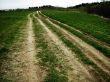 Roads and a field