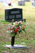 Flowres at Gravesite