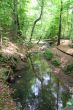 Peaceful Creek