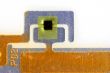 Close ups of tags
