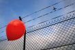 Barbed freedom