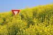 Stop aux OGM - Stop GMO