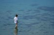In a clear water