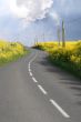 Through the rape fields