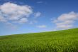 The green hill (horizontal)