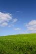 The green hill (vertical)