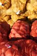 Scallop shells