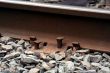 Railroad spikes