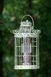 Bird Feeder