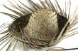 Straw hat