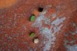 Rusty 50 gallon Drum with bullet holes