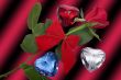 Valentine roses