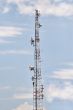 multifunctional antenna