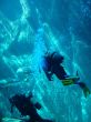 scuba divers