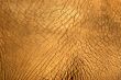 elephant skin texture