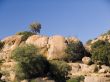 african landscape