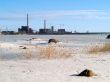 Industry near nature