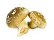 Shiitake mushrooms