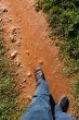On the way