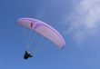 Purple paraglider