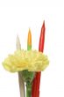 Yellow flower and three pens