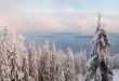 Winter Scenery