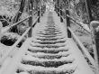 Snowy Stairs