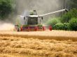farming